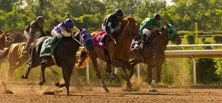 Photo of horses racing