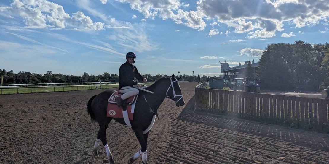 Seven horses vying for the 90th Prince of Wales Stakes